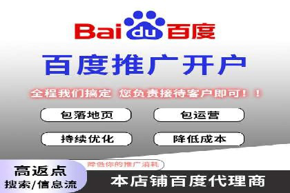 SEM运营推广策略：成功案例解析
